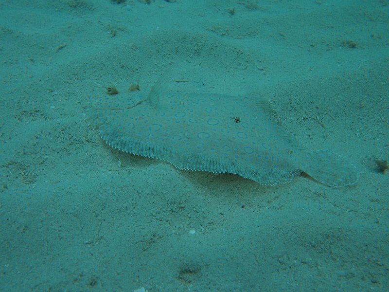 Curacao 04-12 169.JPG